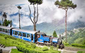 Darjeeling Special